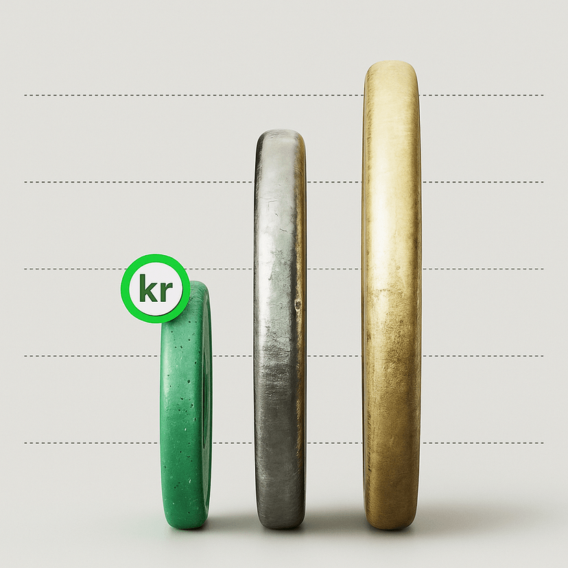 Hvordan fungerer en konto med flere valutaer?